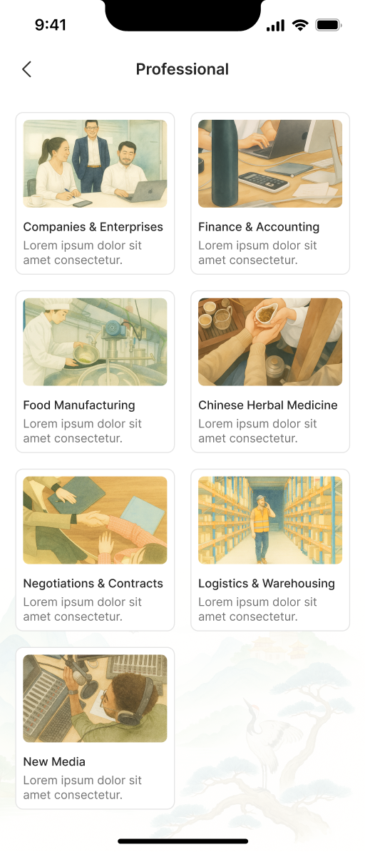 Professional Mastery Interface